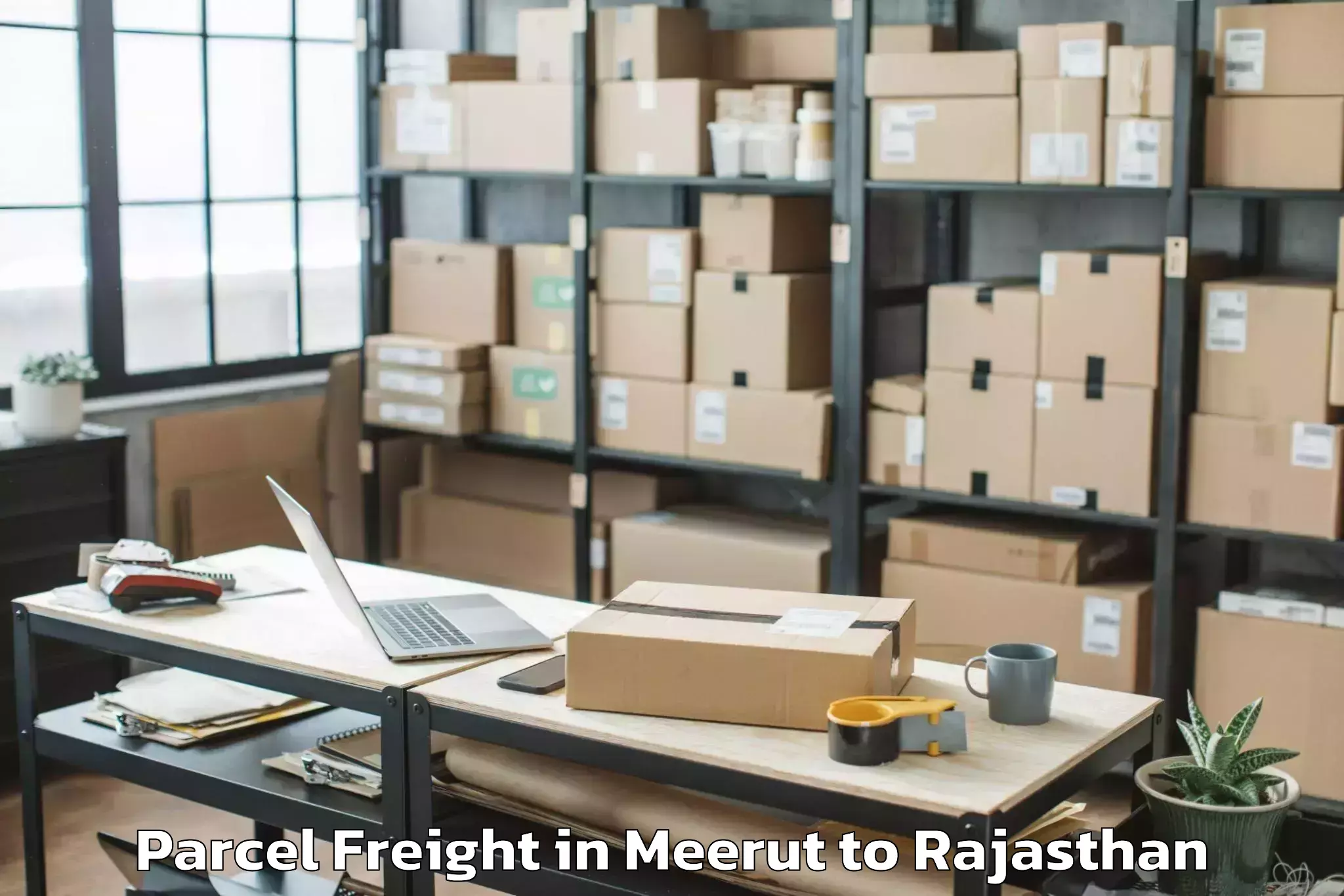 Leading Meerut to Tantia University Sri Ganganag Parcel Freight Provider